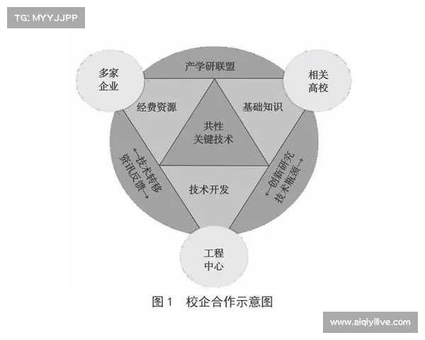 体教融合背景下竞技篮球后备人才培养需建立协同机制，避免资源浪费